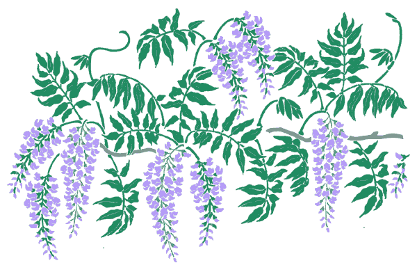 Wisteria Stencil