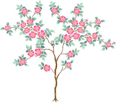 Rose Illustration Create your own rambling Rose tree using either Rambling