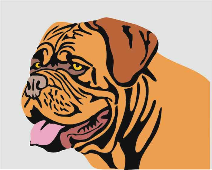 Dogue Template