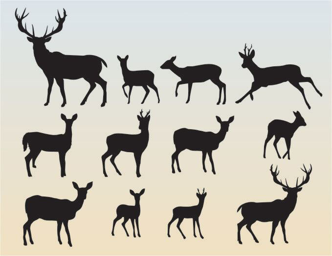12 Assorted Deer Silhouettes (Includes Cutouts) | Stencil Designs from  Stencil Kingdom