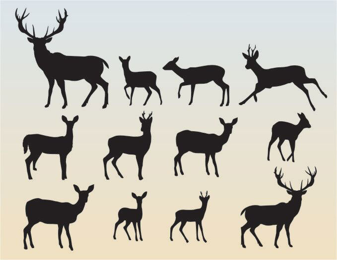 12 Assorted Deer Silhouettes (Includes Cutouts) | Stencil Designs from Stencil Kingdom 12 Assorted Deer Silhouettes (Includes Cutouts) | Stencil Designs from Stencil Kingdom